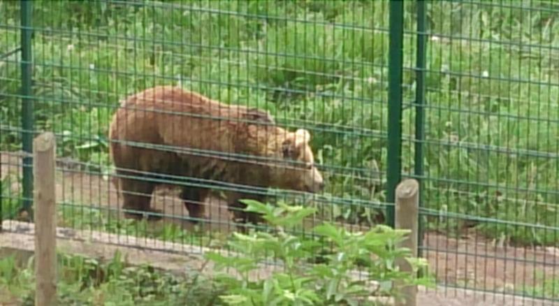 بنسيون La Posada De Proaza