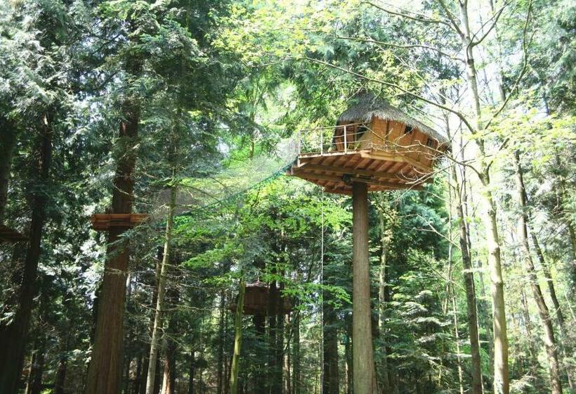 Bed and Breakfast Insolite Dans Les Arbres Les Ormes, Epiniac