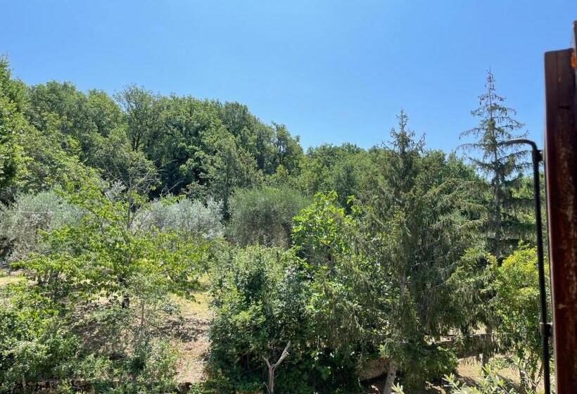 فندق Agriturismo Podere Chiassaie