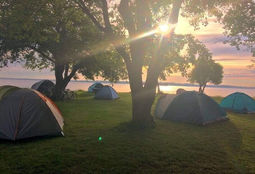 Отель Camp Ven
