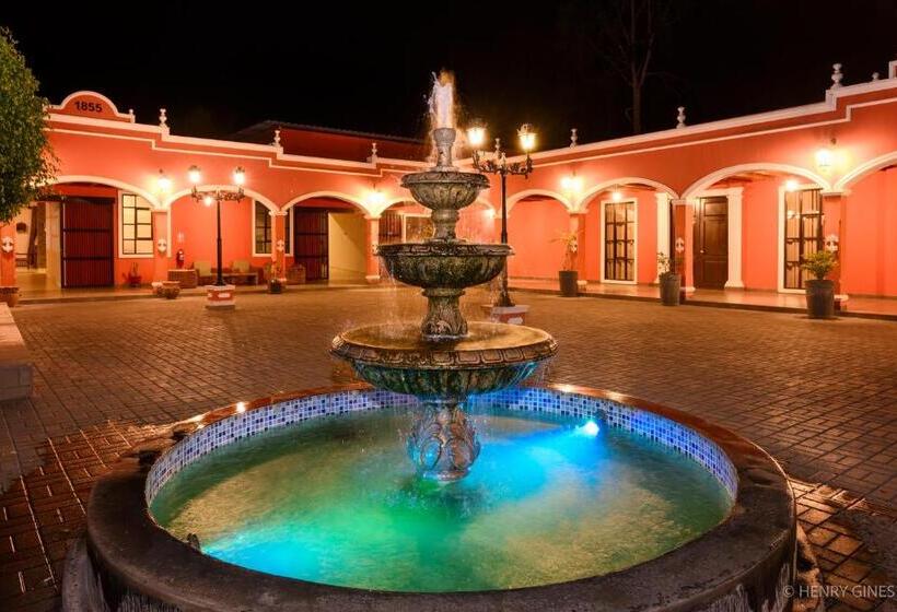酒店 Hacienda San Juan Resort