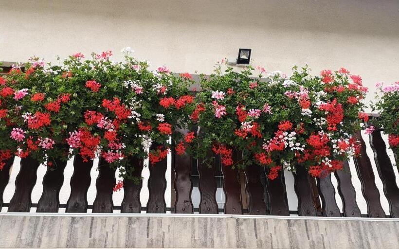 بنسيون Apartments And Rooms With Parking Space Jezerce, Plitvice   17768