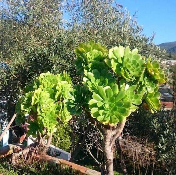 بنسيون Gite L Ile Du Caroubier