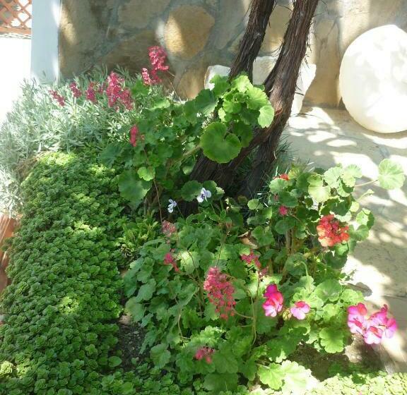 پانسیون Guest House Harmony