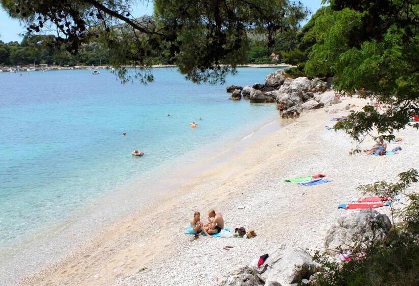 펜션 Rooms With A Parking Space Srebreno, Dubrovnik 4790