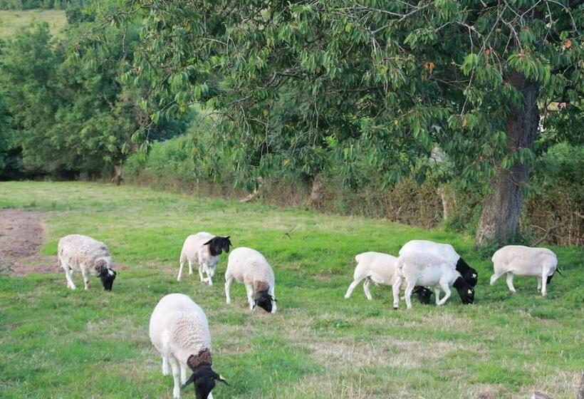 ベッドアンドブレックファースト Le Haut Mesnil 5