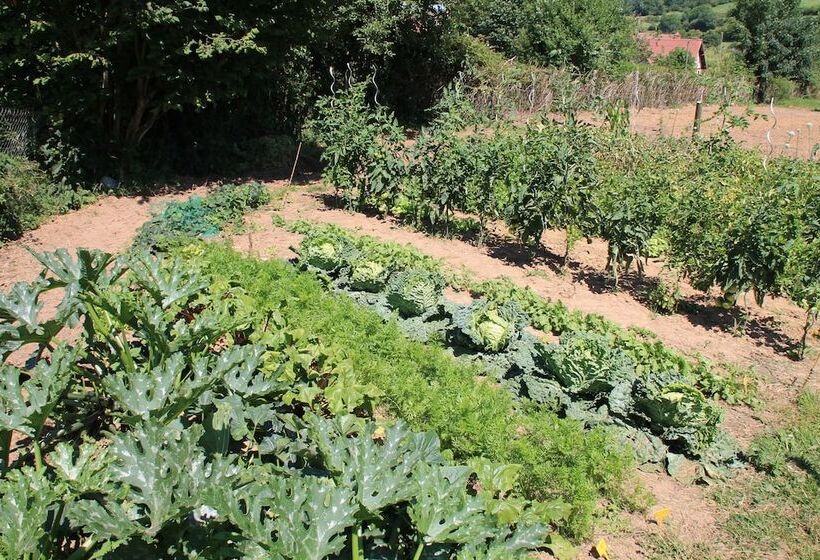 ベッドアンドブレックファースト Le Haut Mesnil 5