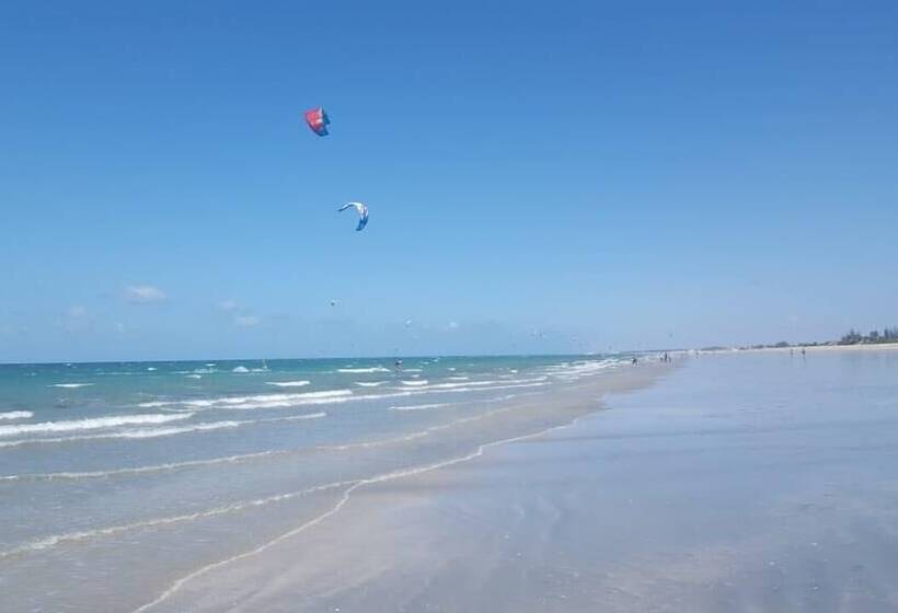 簡易ホテル Pousada O Bom Do Mar