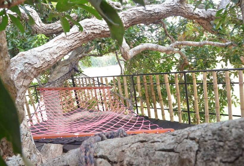 בית מלון כפרי Leopard Lakes, Wilpattu