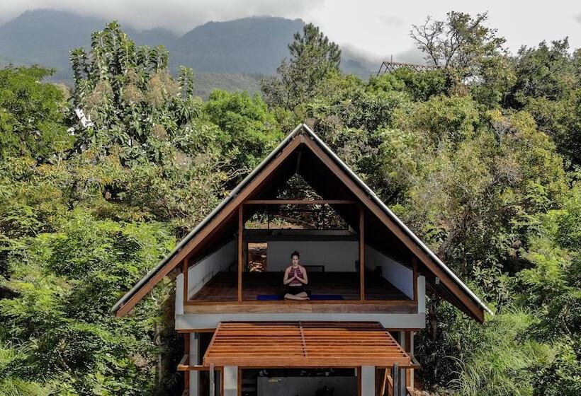 فندق Treehouse Chalets