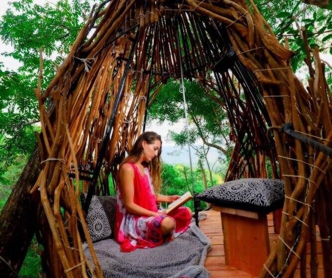 فندق Treehouse Chalets