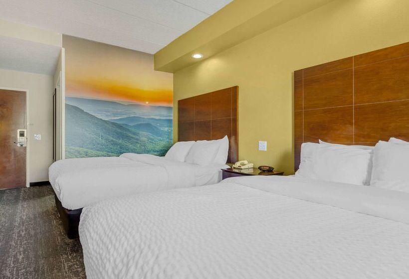 هتل Clarion Pointe Staunton East