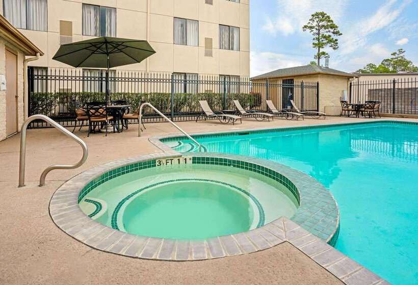 בית מלון כפרי La Quinta Inn & Suites By Wyndham The Woodlands/spring
