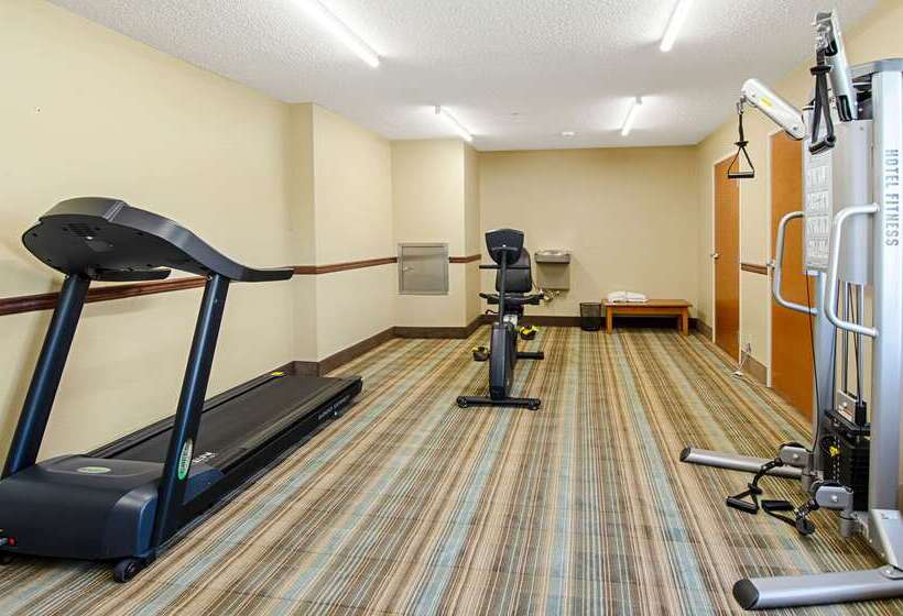 فندق Quality Inn & Suites I81 Exit 7