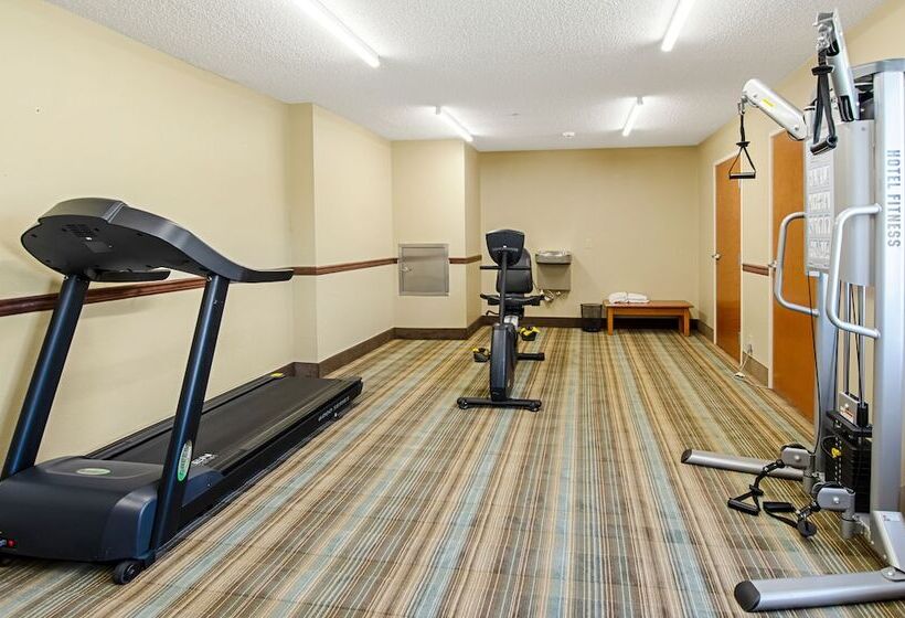 فندق Quality Inn & Suites I81 Exit 7