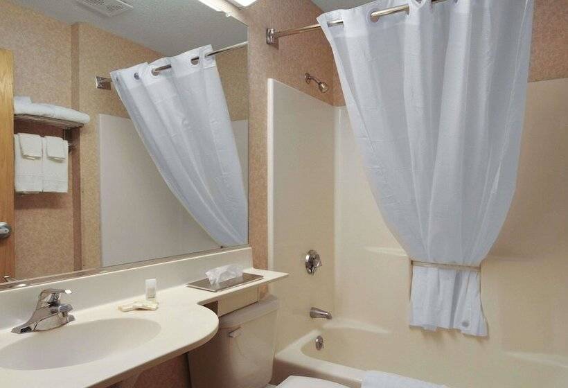 Microtel Inn & Suites By Wyndham Syracuse Baldwinsville