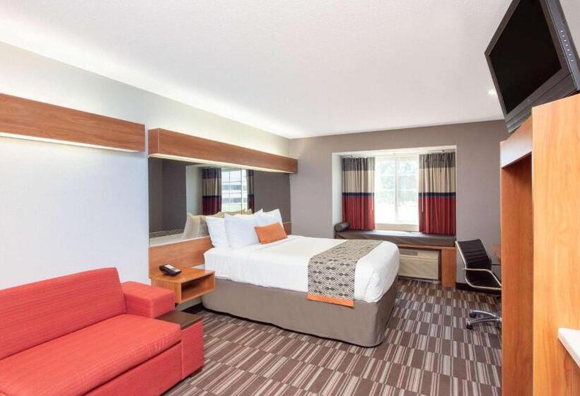 Microtel Inn & Suites By Wyndham Springfield