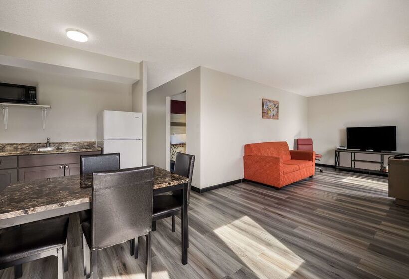 فندق على الطريق Econo Lodge Inn & Suites