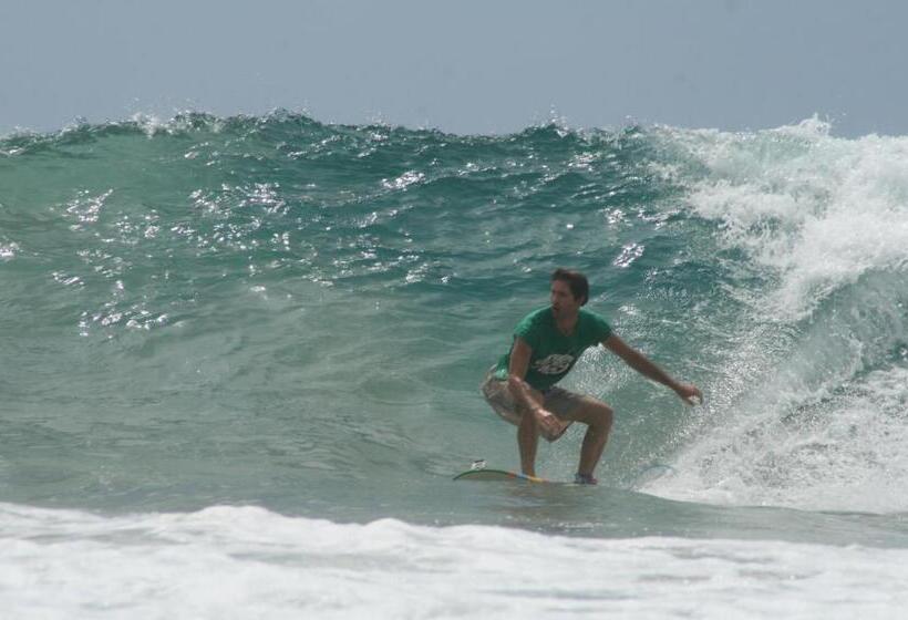 هاستل Backpackers Inn On The Beach