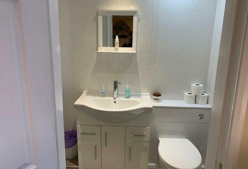 فندق صغير The Village Inn