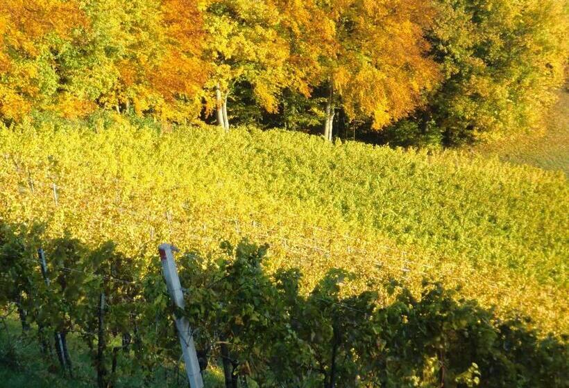 ペンション Zweytick Gästezimmer Weingut
