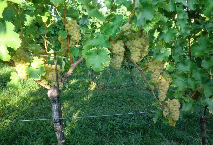 ペンション Zweytick Gästezimmer Weingut