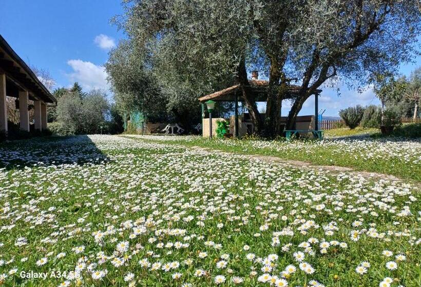 호텔 Agriturismo Bio Pian Dei Casali
