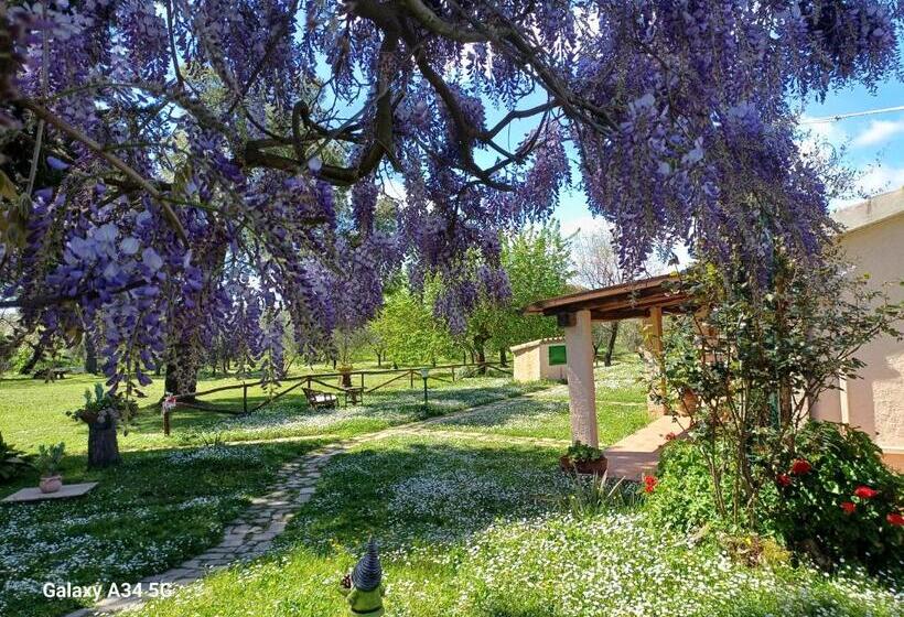 호텔 Agriturismo Bio Pian Dei Casali