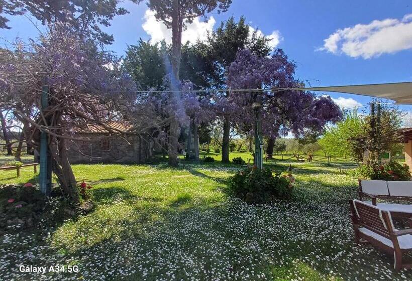 호텔 Agriturismo Bio Pian Dei Casali