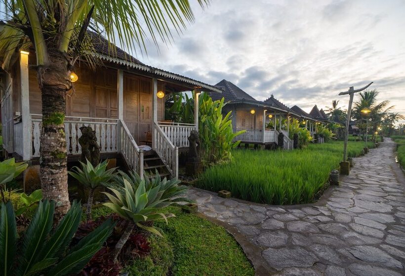 호텔 Uma Sebatu Villa