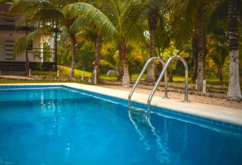 هتل Royal Palm Bacalar Cabañas & Lagoon Club