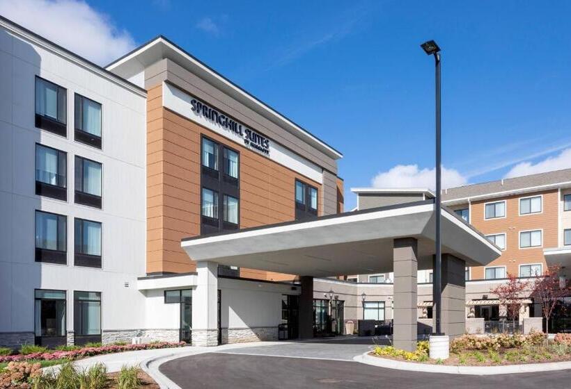ホテル Springhill Suites Minneapolis Maple Grove/arbor Lakes