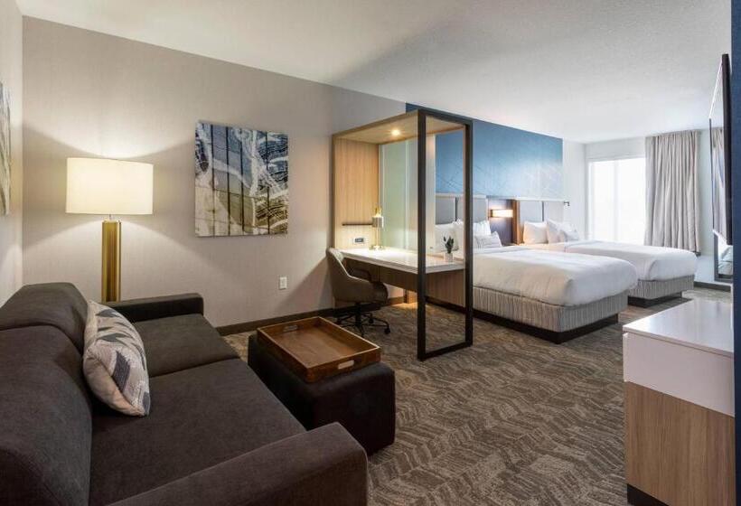ホテル Springhill Suites Minneapolis Maple Grove/arbor Lakes
