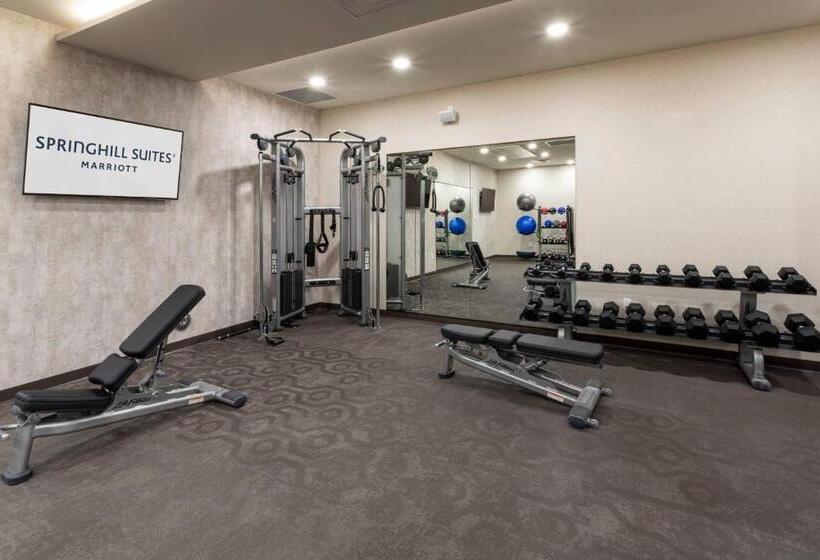 ホテル Springhill Suites Minneapolis Maple Grove/arbor Lakes
