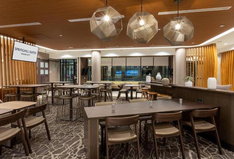 ホテル Springhill Suites Minneapolis Maple Grove/arbor Lakes