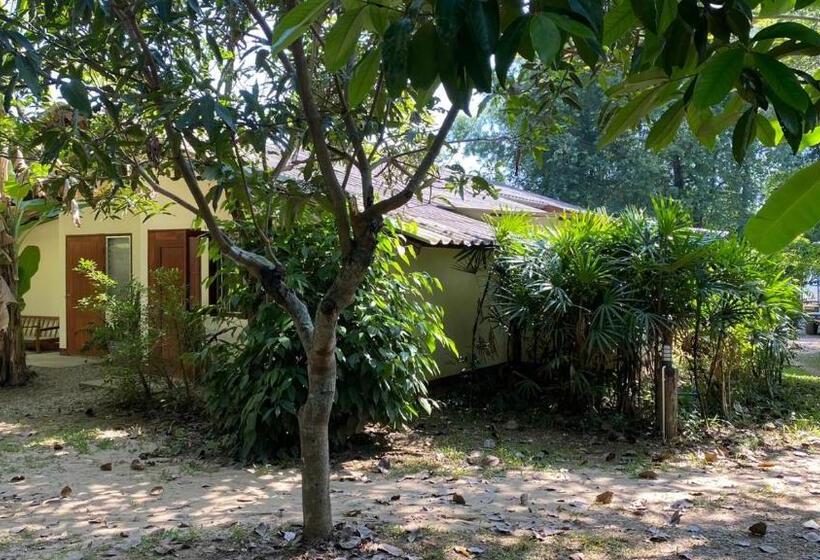 هاستل Brown House Chiangdao