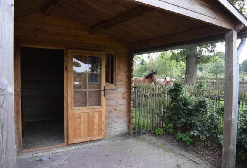 هتل Groepsboerderij 20 Pers