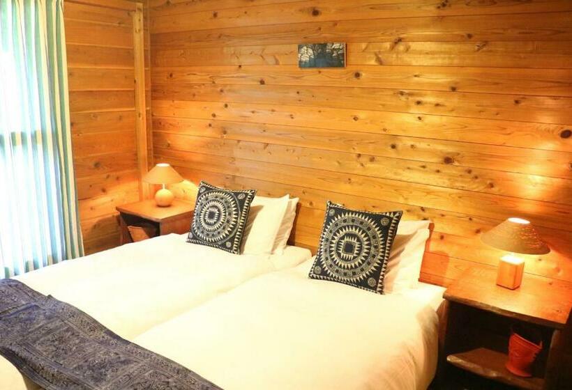 הוסטל First Tracks Madarao