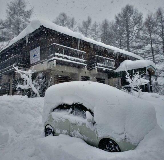 הוסטל First Tracks Madarao