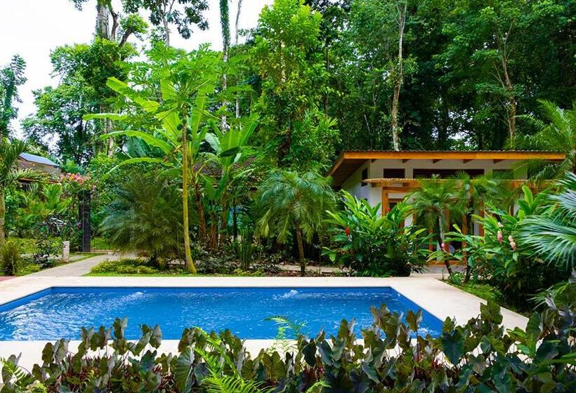 Bed and Breakfast La Paz Del Caribe Adults Only