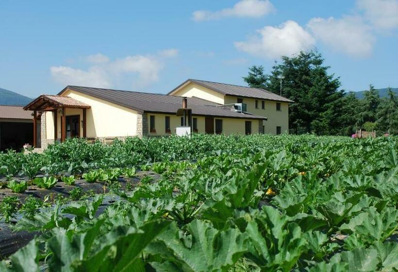 Отель Agriturismo Fiorella