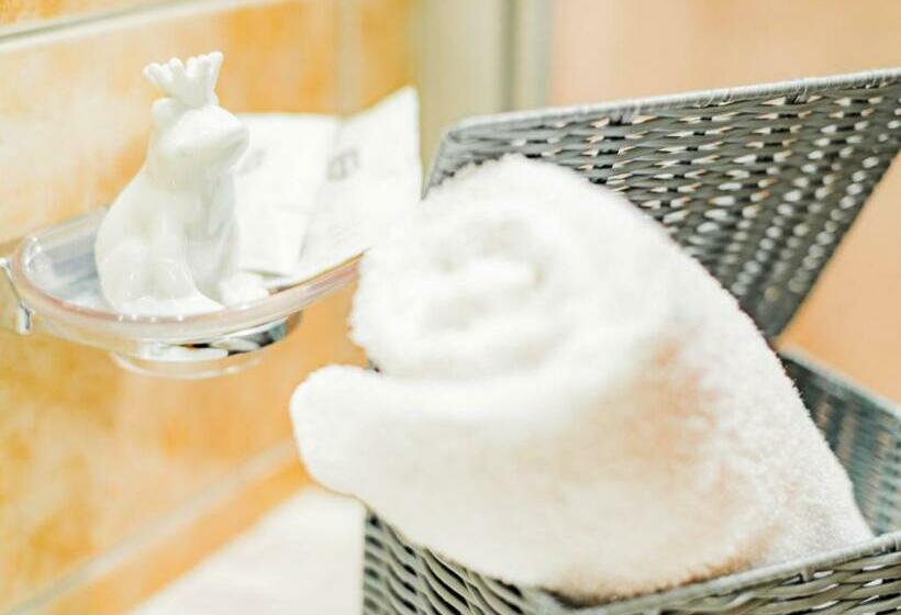 פנסיון Der Torwirt Radstadt