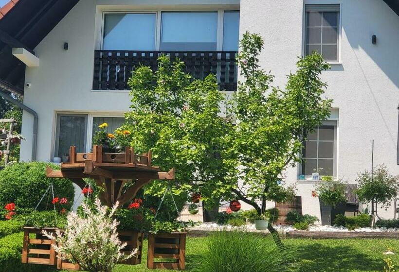 پانسیون Vila Jovana