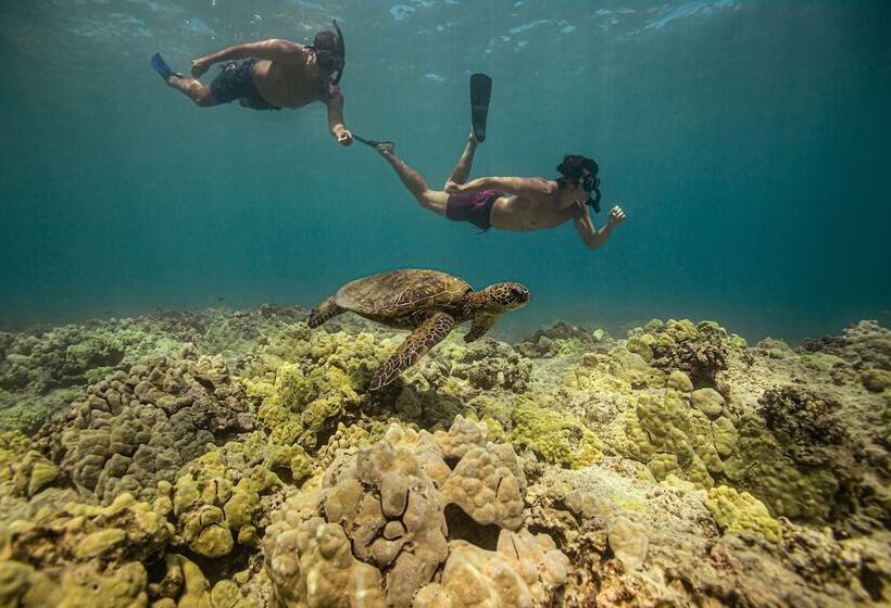 منتجع Fairmont Orchid Gold Experience