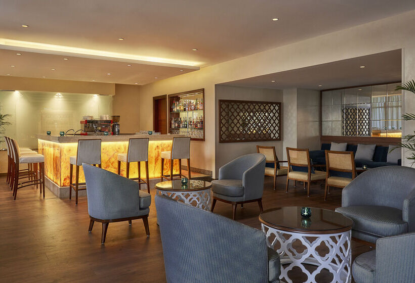 渡假胜地  Steigenberger Pyramids Cairo