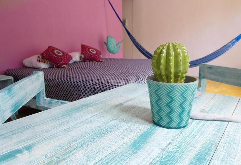 Casa Vainilla Holbox Island