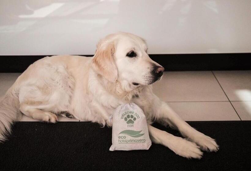 هتل Primavera Apartmentsuites