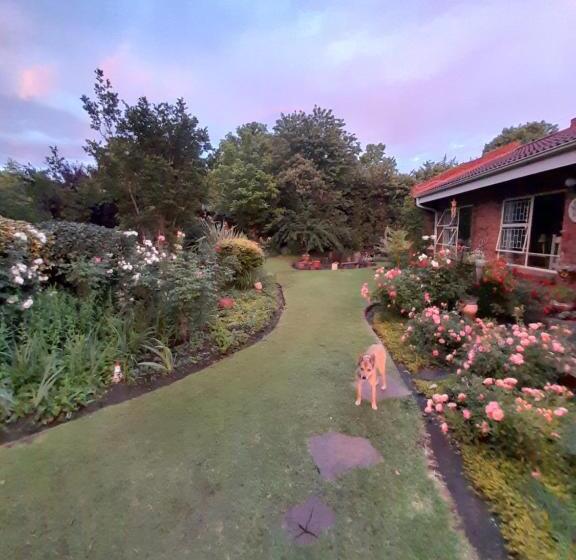 پانسیون Amani Guest House Clarens