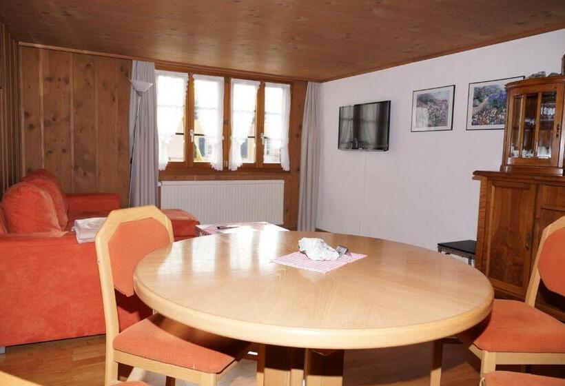 הוסטל Gasthaus Zum Sternen