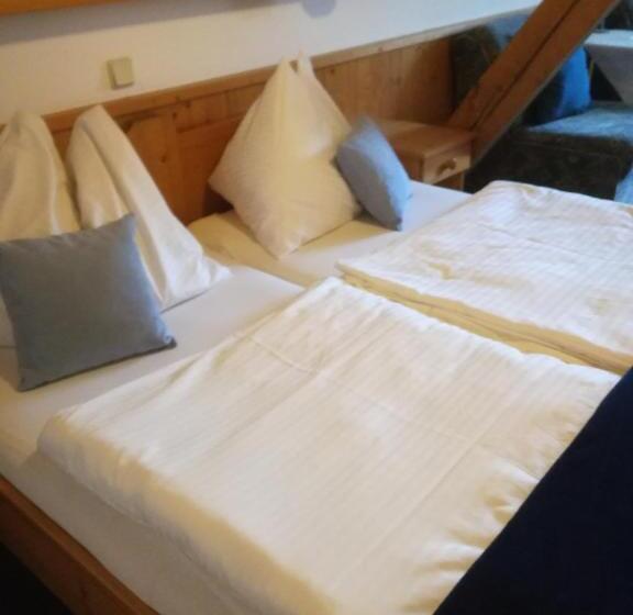 旅馆 Gasthof Platzschmied